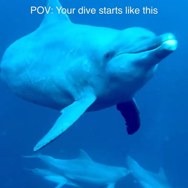 Post by julia.waterchild