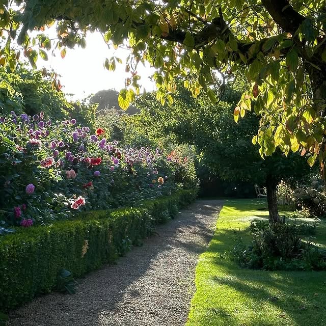 Post by roushamgardens