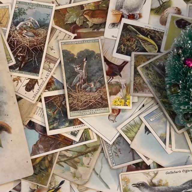 Post by athomewithahoosier