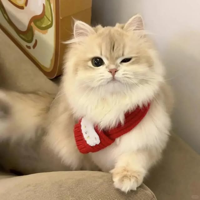 Post by landyliu0610