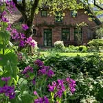 Belinda's profile picture