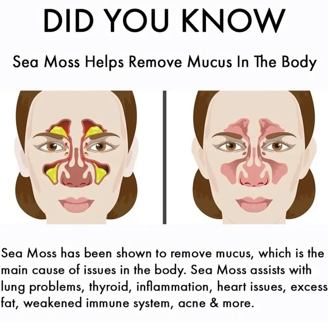 Post by wegoplantbased