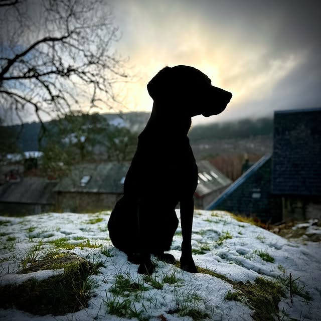 Post by fergus.king_of_scotland