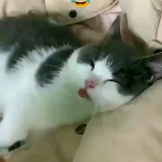 Post by kitty_mittymeow