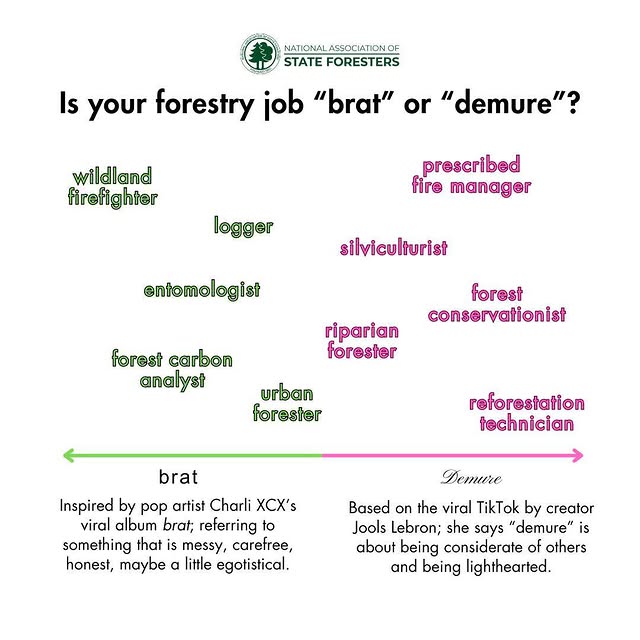 Post by stateforesters