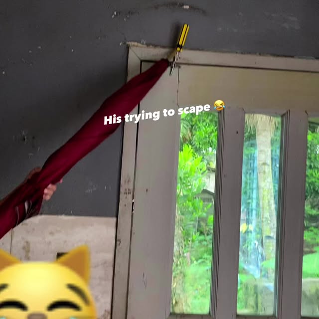 Post by monch_borbon1