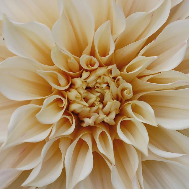 Post by fishtailcottage