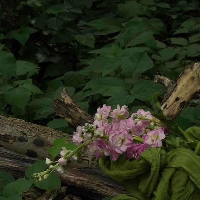 Post by zarasweetartmold