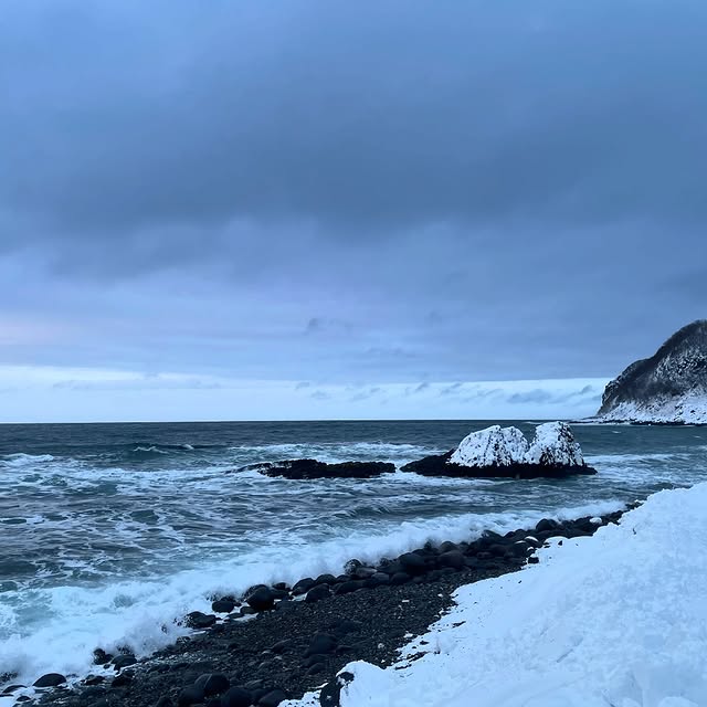 Post by shota_gorillahouse