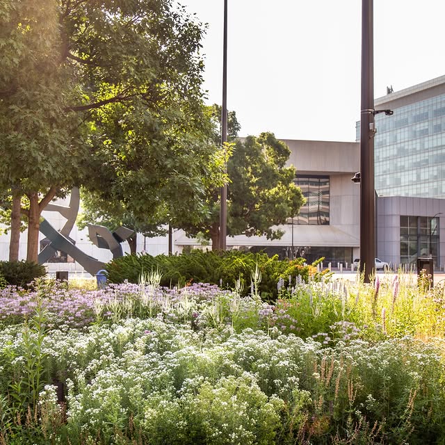 Post by kellydnorris