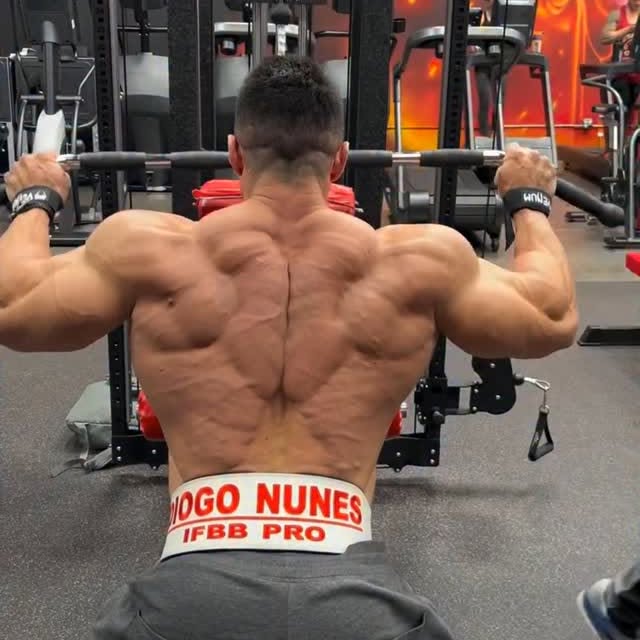 Post by diogo__nunez