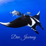 dive_journey