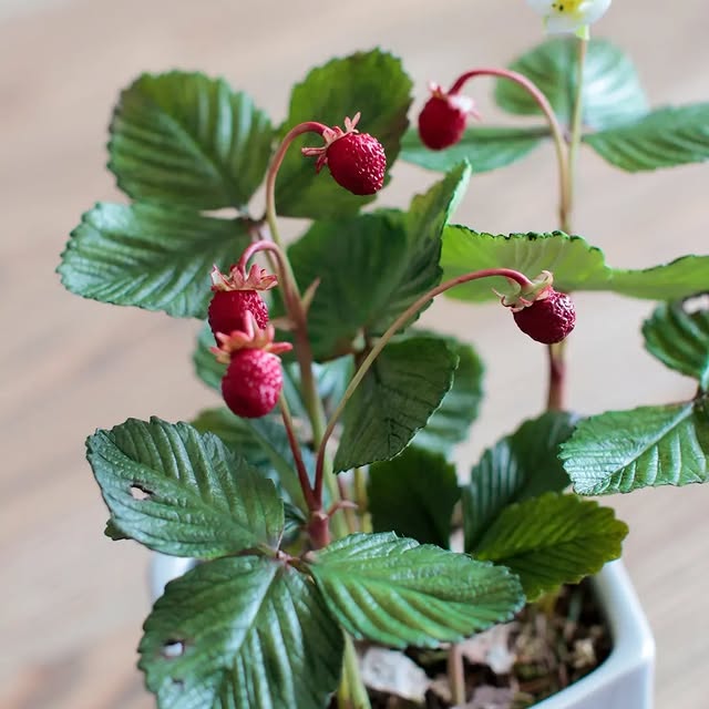 Post by marinagolovina21