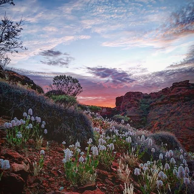 Post by visitcentralaus