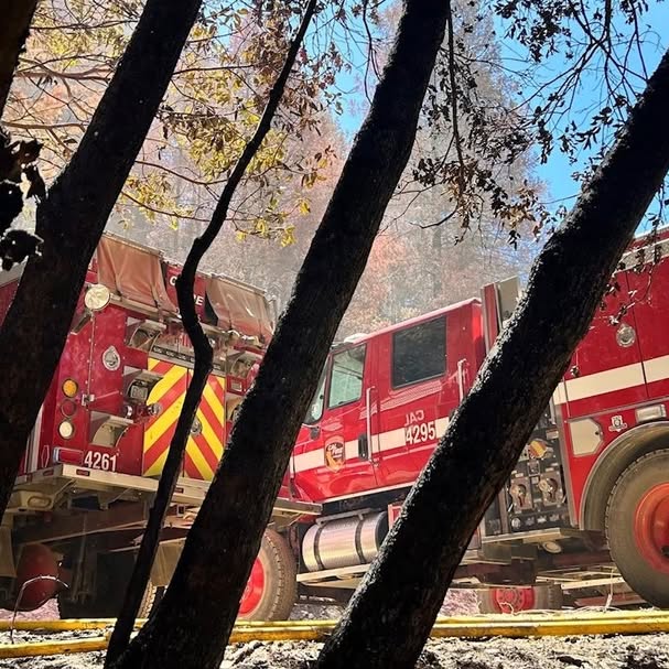 Post by calfirelocal2881