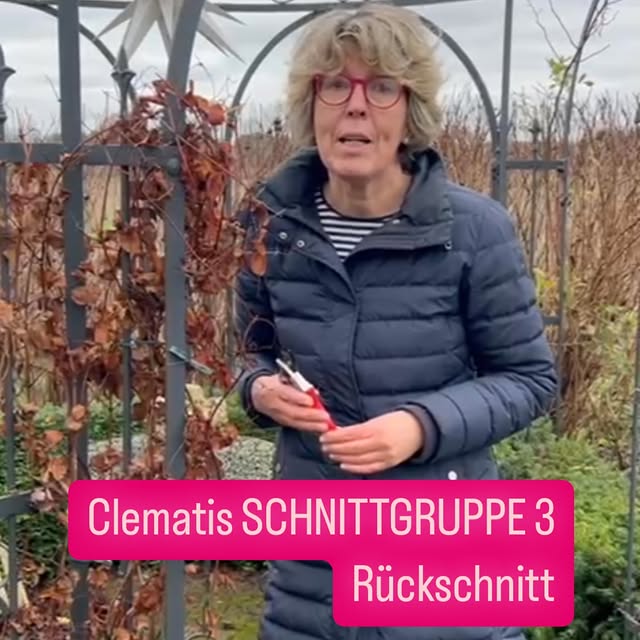 Post by katrinsgarten