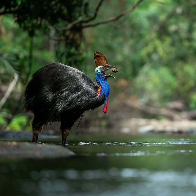 Post by jakewiltonphoto