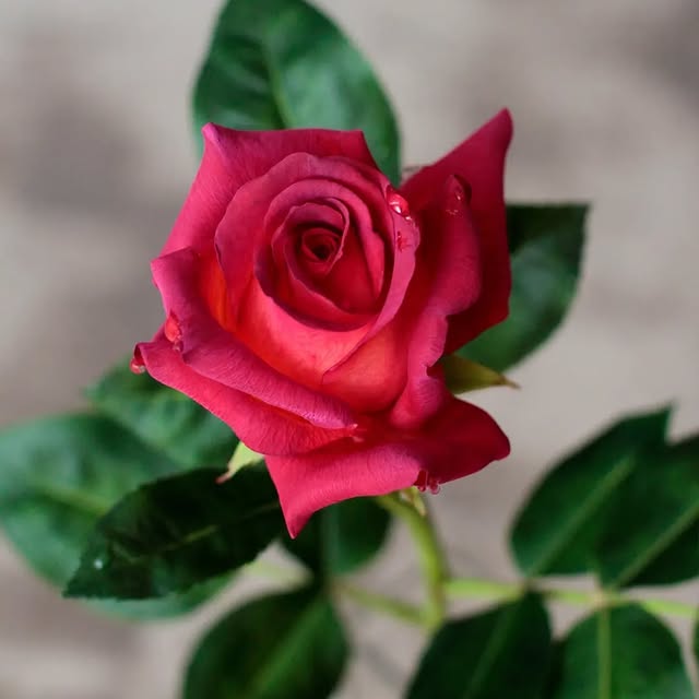 Post by marinagolovina21