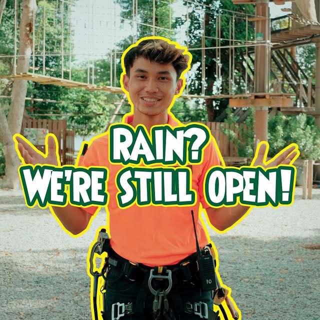 Post by forestadventuresg