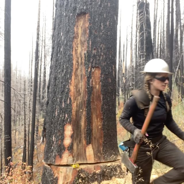 Post by urlocallumberjill