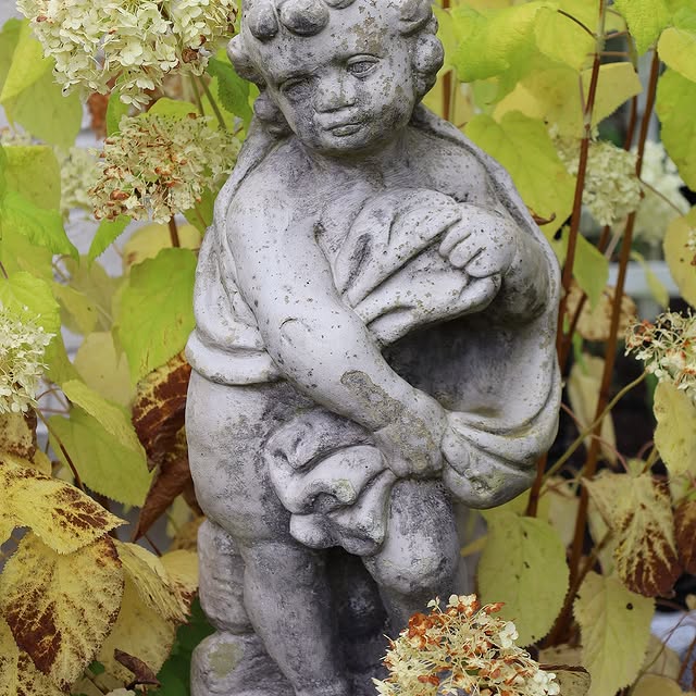 Post by fishtailcottage