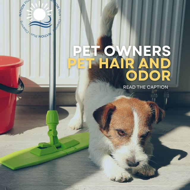 Post by nationpluscleaning