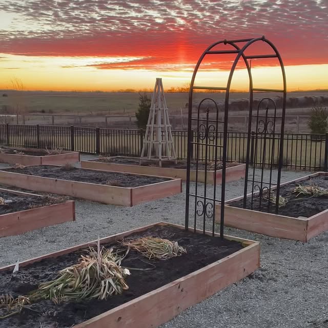 Post by bochnerfarms