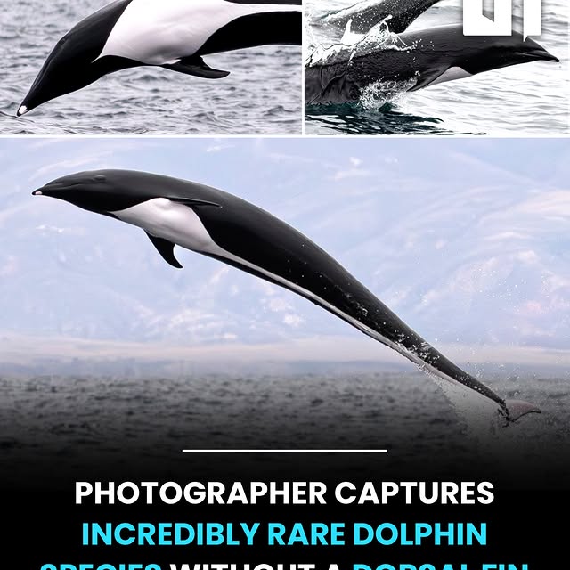 Post by mech.eng.world