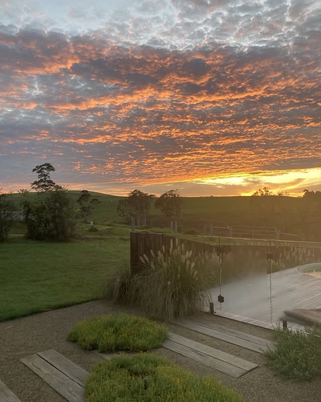 Post by theplot_binnaburra