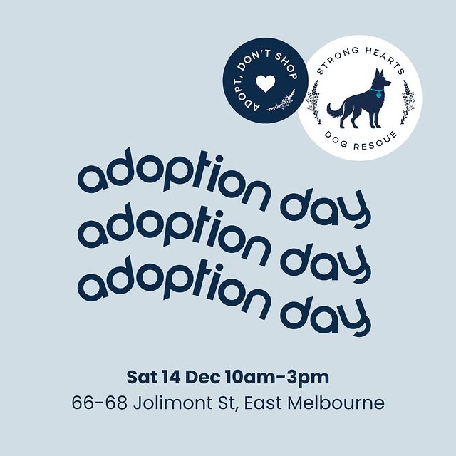 Post by strongheartsdogs