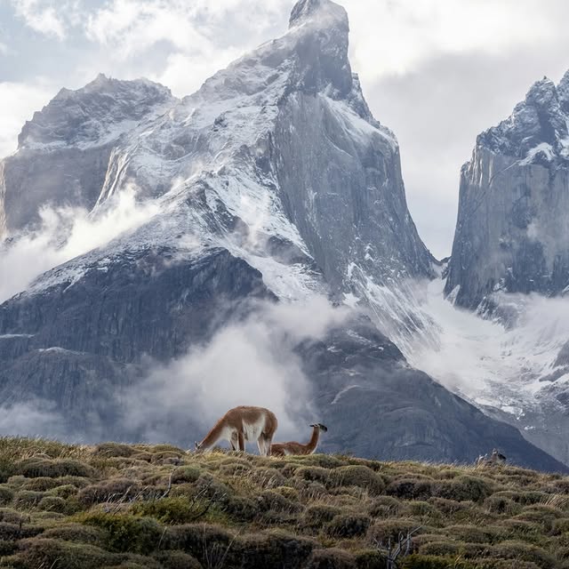 Post by coxandkings_uk