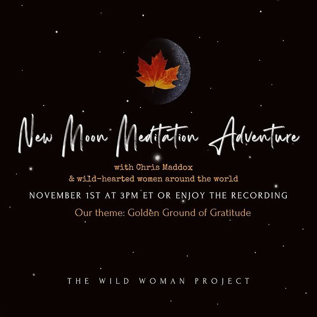 Post by thewildwomanproject