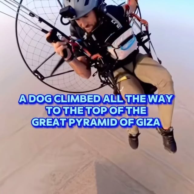 Post by truthordie2024