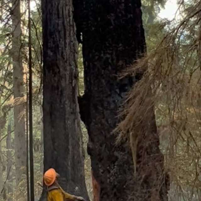 Post by coast_cutter