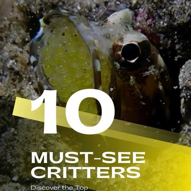 Post by critter.hunter