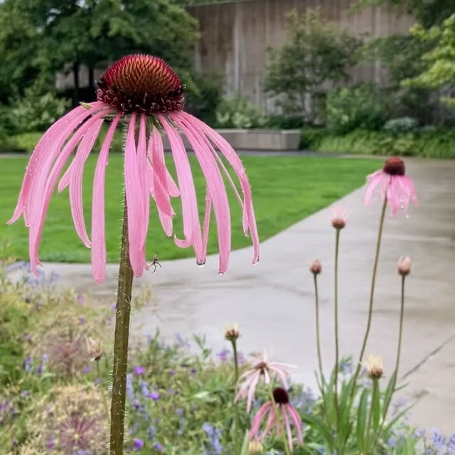 Post by katymerrington