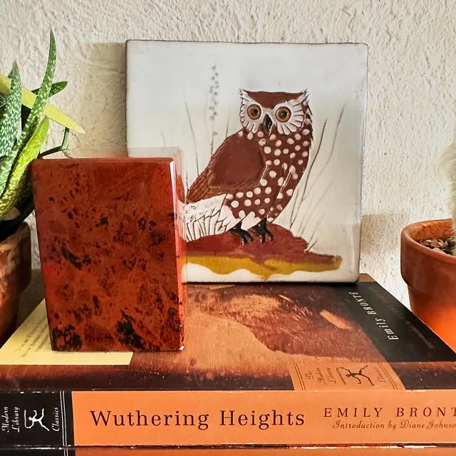 Post by spike.and.daisy