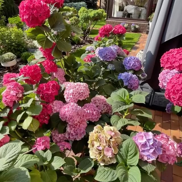 Post by garden_desiign