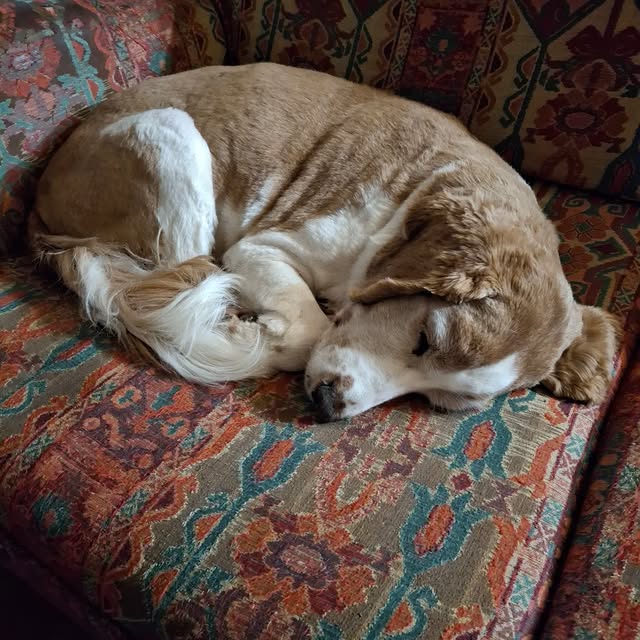 Post by troyscottsmith1