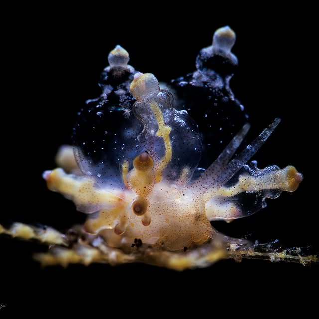 Post by kathrin_underwater