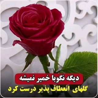 Post by honarkadeh.peony