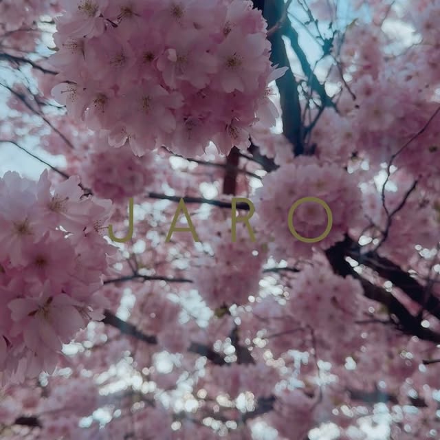 Post by veronikaarichtev