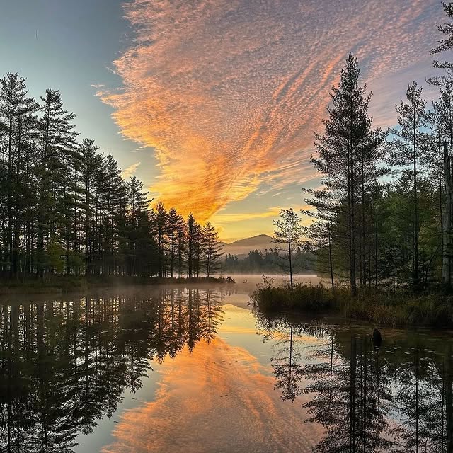 Post by speculatorguesthouse