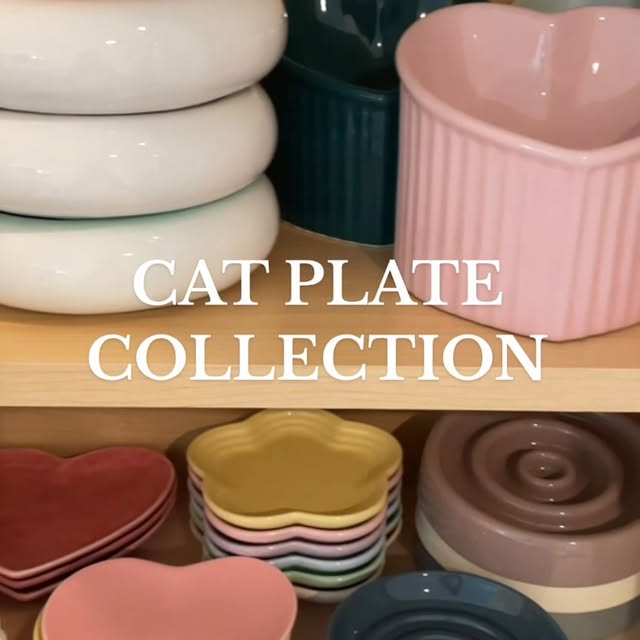 Post by simple.kitties