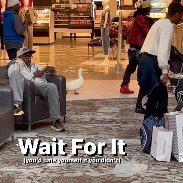 Post by justinwoodcircus