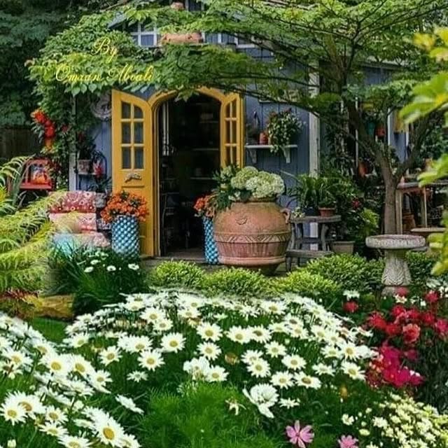 Post by thegardeningspirit