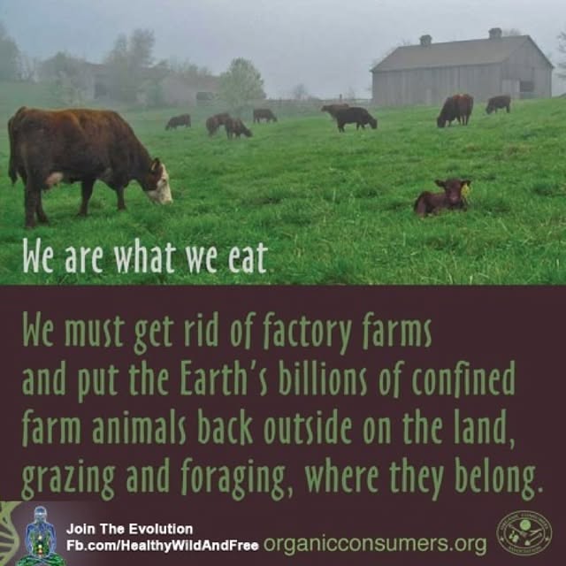 Post by wild.life.tribe