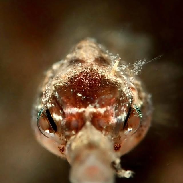 Post by underthesea_perfection