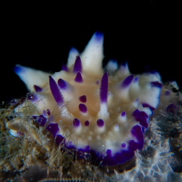 Post by michaels_bubbles