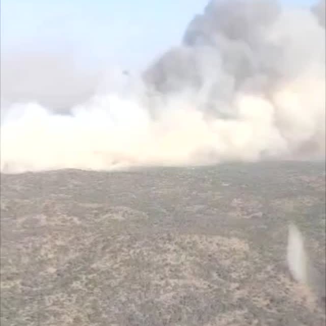 Post by incendiosforestalesargentina